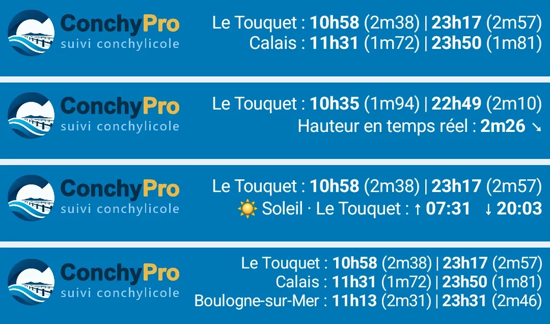 Quatre exemples du bandeau du haut : les basses mers du Touquet et de Calais ; Le Touquet avec la hauteur d'eau en temps réel ; Le Touquet avec le lever et le coucher du soleil ; trois ports (Le Touquet, Calais, Boulogne-sur-Mer).