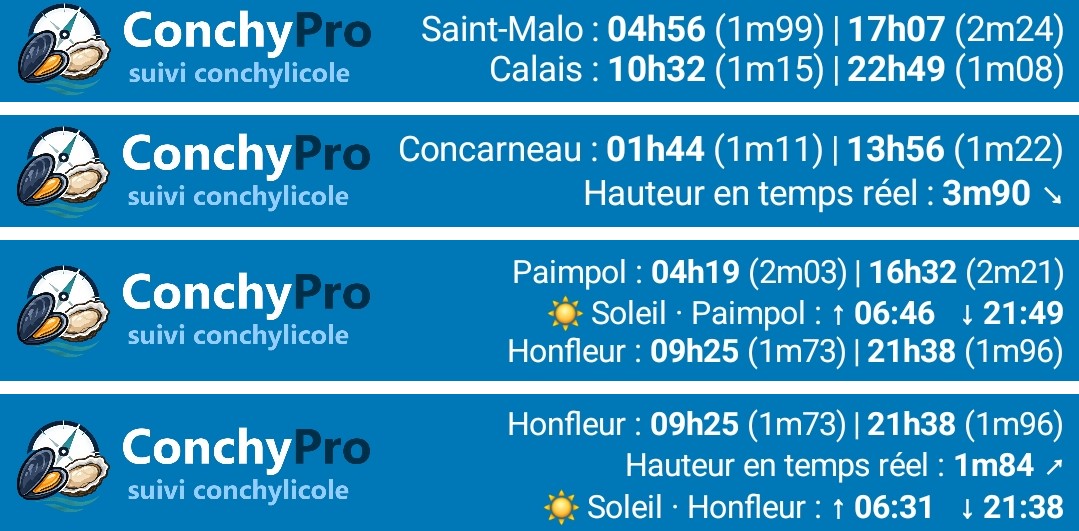 Quatre exemples de bandeaux de marée personnalisés : 2 ports, hauteur d'eau en direct, lever et coucher du soleil, 3 ports